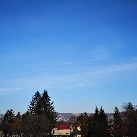 Villa-Hotel Escala Cluj-Napoca Exteriör bild